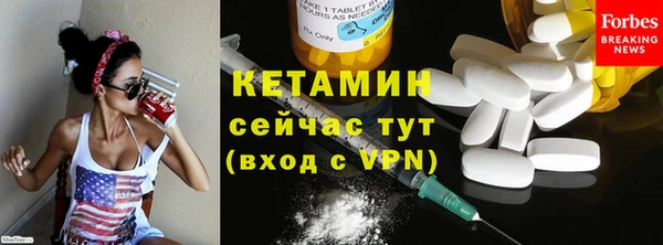 сатива Зеленокумск