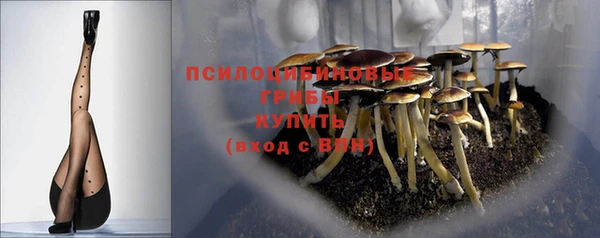 сатива Зеленокумск
