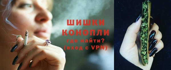 сатива Зеленокумск
