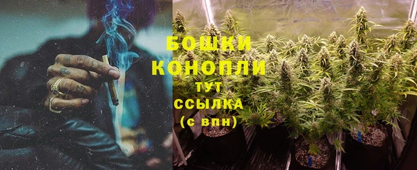 сатива Зеленокумск