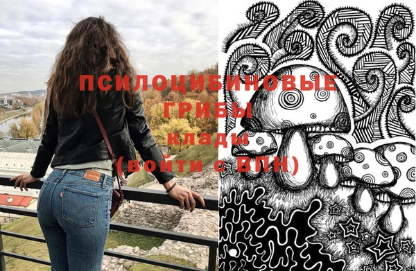 дмт Зерноград