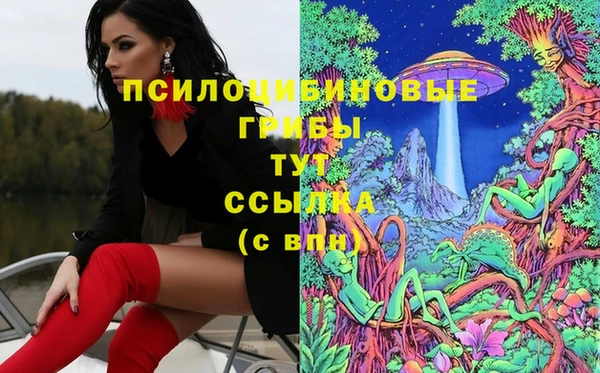 сатива Зеленокумск