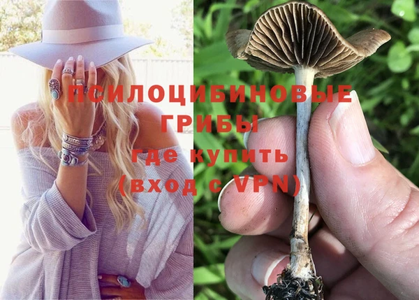 дмт Зерноград