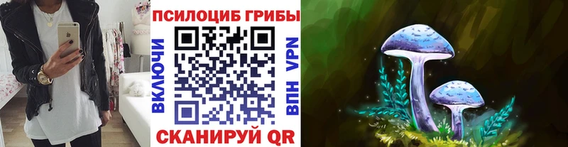 Купить закладки  Горбатов  Галлюциногенные грибы прущие грибы 